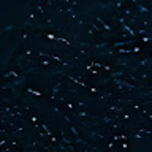 Meet your Posher, Logan